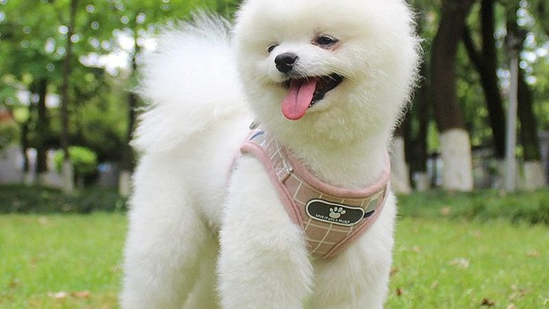 冬季冷却塔防冻方法解析